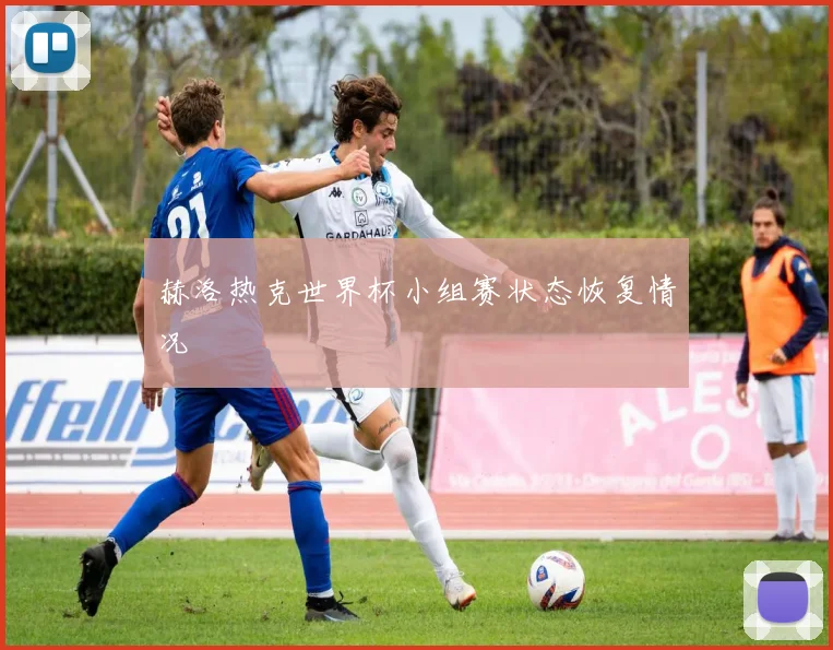 赫洛热克世界杯小组赛状态恢复情况