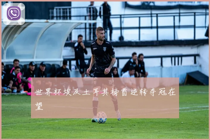世界杯埃及土耳其榜首逆转夺冠在望