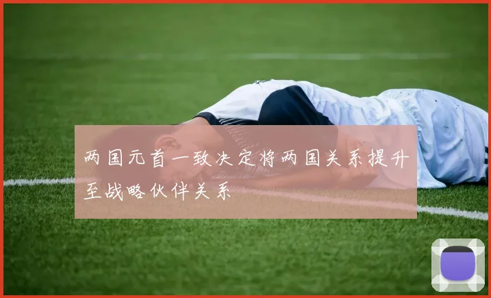 两国元首一致决定将两国关系提升至战略伙伴关系