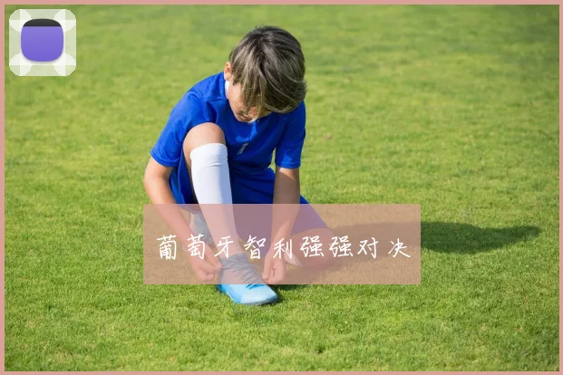葡萄牙智利强强对决