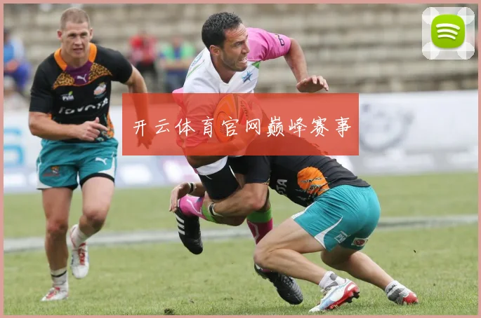 开云体育官网巅峰赛事
