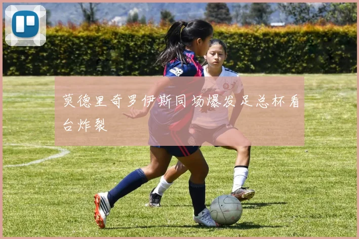 莫德里奇罗伊斯同场爆发足总杯看台炸裂