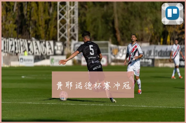 费耶诺德杯赛冲冠