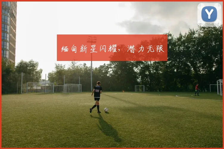 缅甸新星闪耀，潜力无限