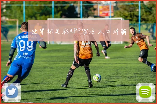 世界杯足彩APP官方入口详解