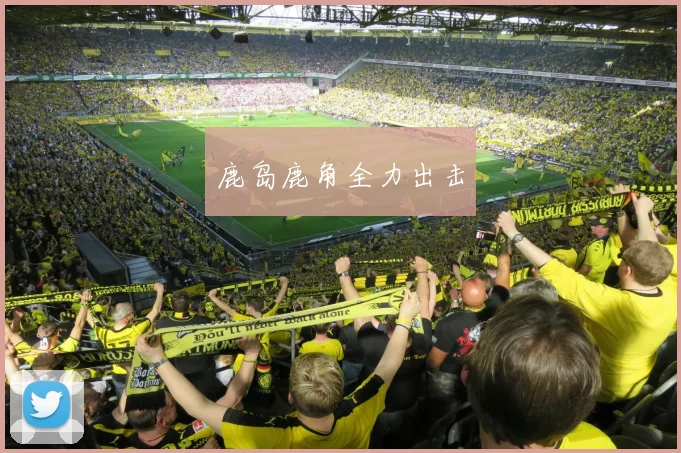 鹿岛鹿角全力出击