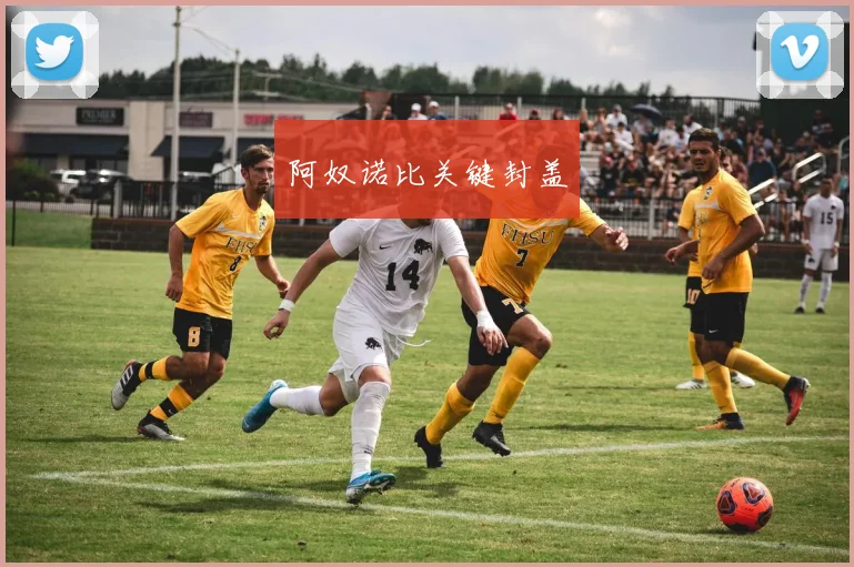 阿奴诺比关键封盖