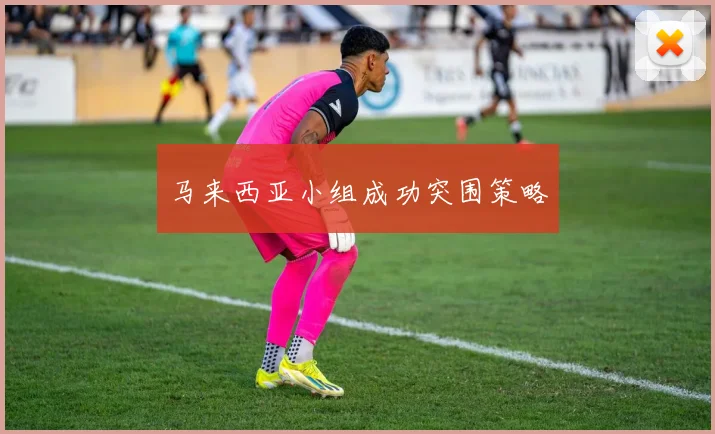 马来西亚小组成功突围策略