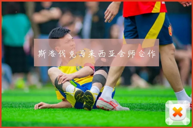 斯洛伐克马来西亚会师合作