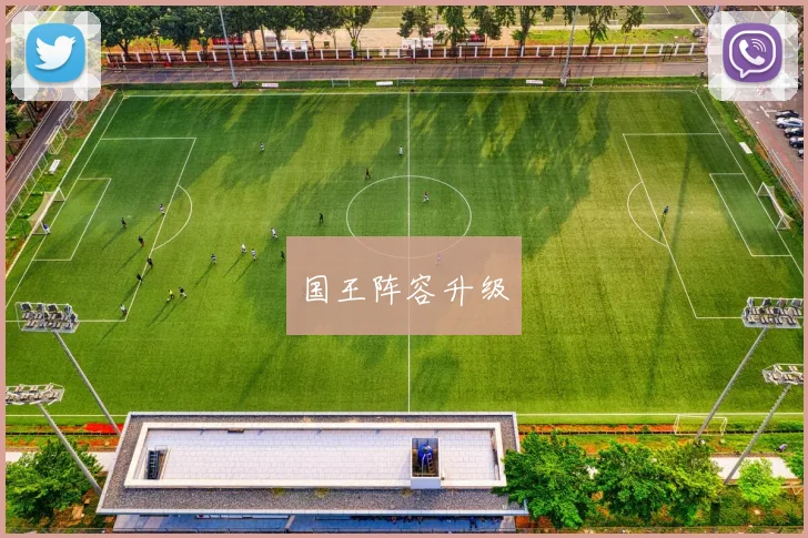 国王阵容升级