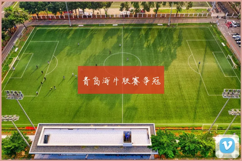 青岛海牛联赛争冠