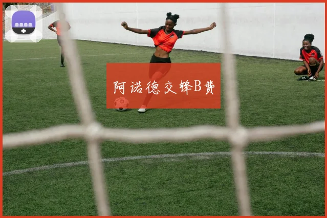 阿诺德交锋B费