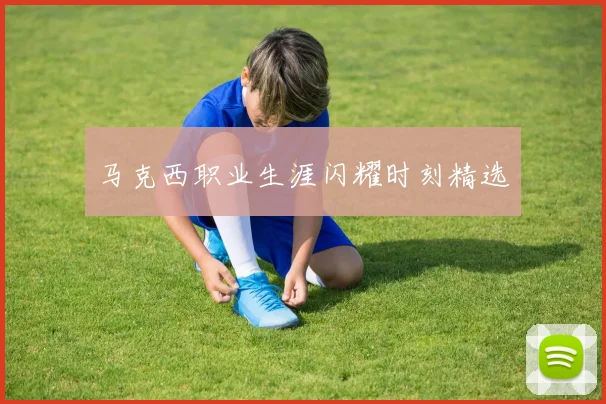 马克西职业生涯闪耀时刻精选