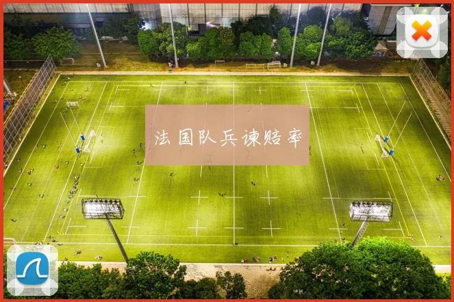 法国队兵谏赔率