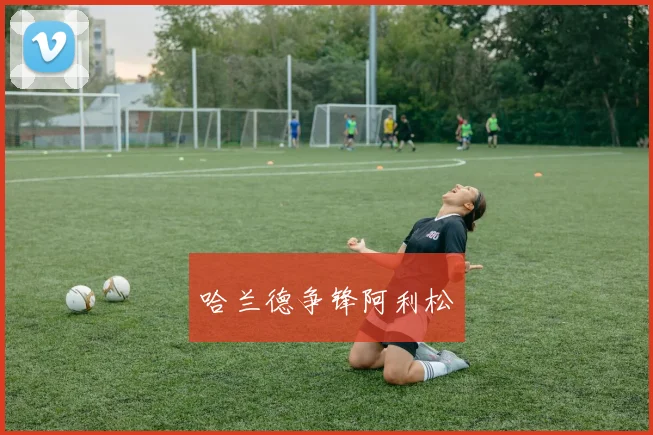 哈兰德争锋阿利松