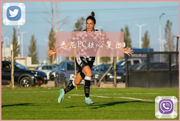悉尼FC核心复出