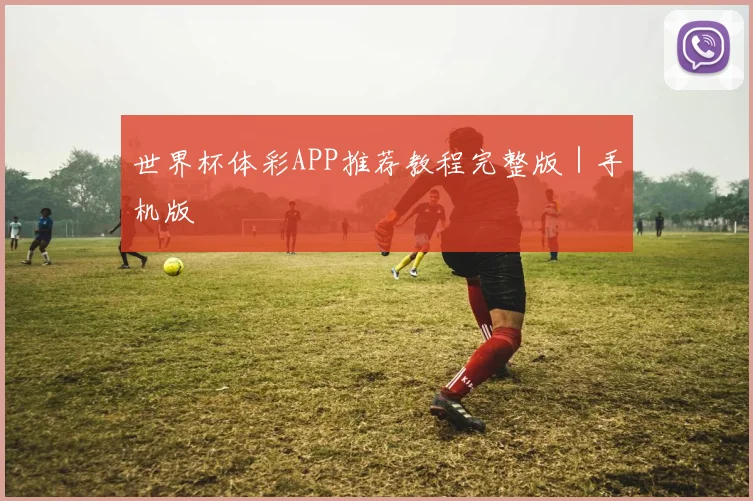 世界杯体彩APP推荐教程完整版｜手机版