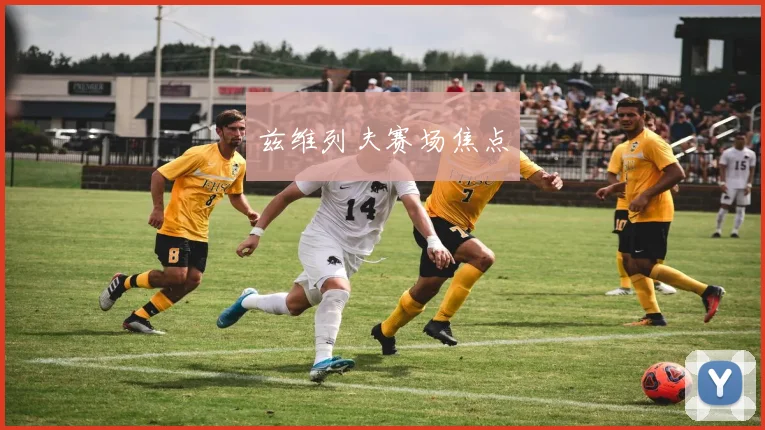 兹维列夫赛场焦点