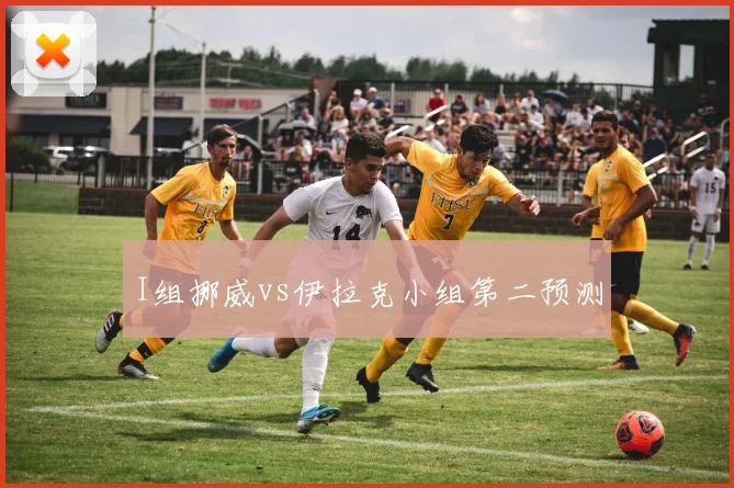 I组挪威vs伊拉克小组第二预测