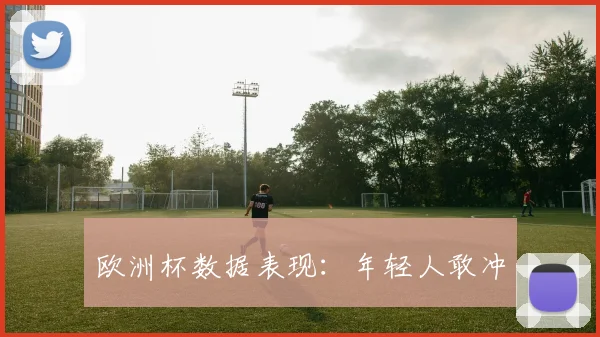欧洲杯数据表现：年轻人敢冲
