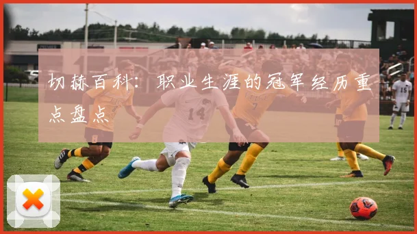 切赫百科：职业生涯的冠军经历重点盘点