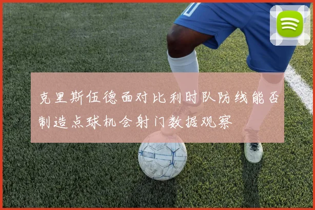 克里斯伍德面对比利时队防线能否制造点球机会射门数据观察