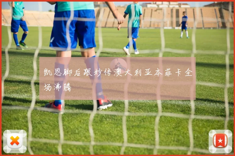 凯恩脚后跟妙传澳大利亚本菲卡全场沸腾