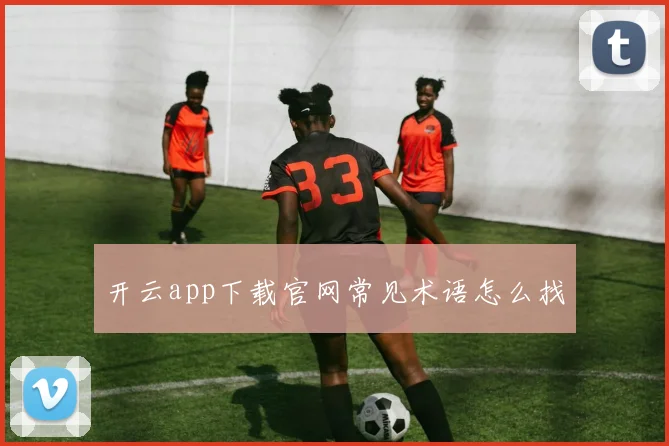 开云app下载官网常见术语怎么找